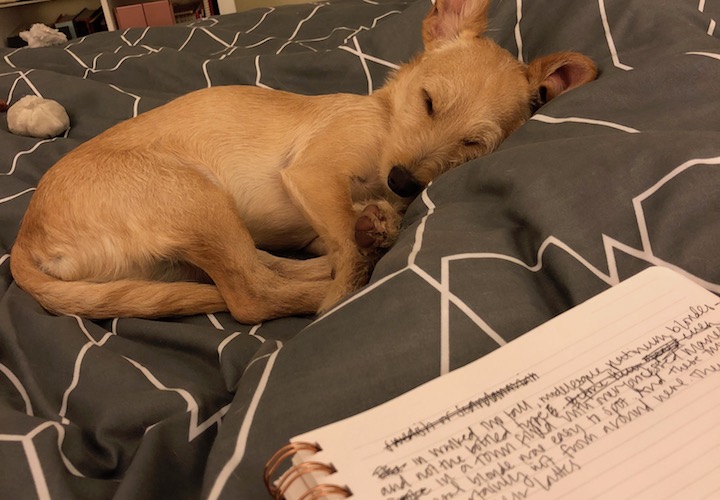 sleeping benny and writing notebook